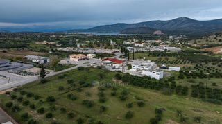 Αγροτεμάχια 12.000 τ.μ. πρός πώληση, Αργολίδα, Κρανίδι-thumb-8