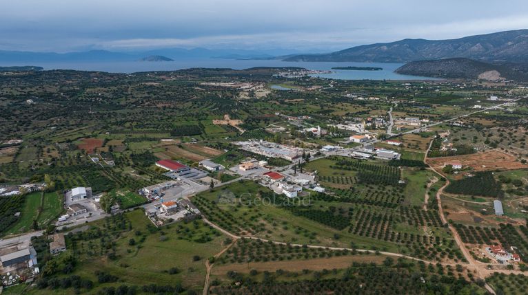 Αγροτεμάχια 12.000 τ.μ. για πώληση, Αργολίδα, Κρανίδι