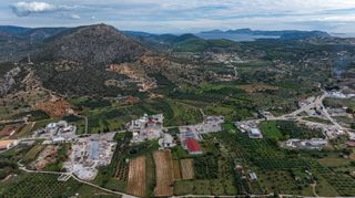Αγροτεμάχια 12.000 τ.μ. πρός πώληση, Αργολίδα, Κρανίδι-thumb-22