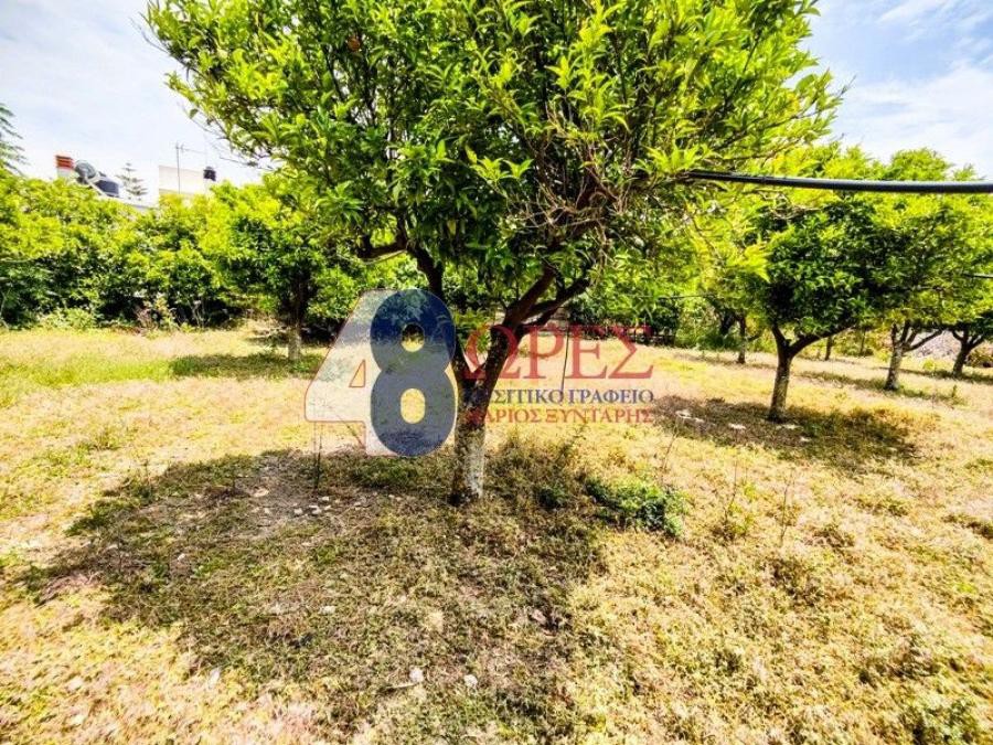 Οικόπεδο 2.278 τ.μ. προς πώληση, Ομηρούπολη