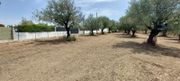 Land plot 2.492sqm for sale-Amfilochia » Sardinia