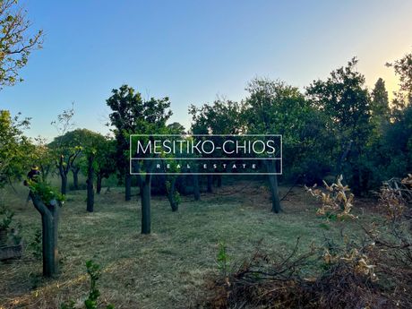 Land plot 2.267,32sqm for sale-Chios » Kampochoria