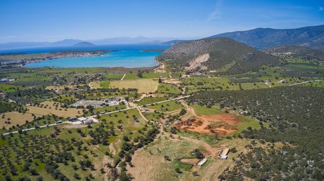 Αγροτεμάχια 13.162 τ.μ. για πώληση