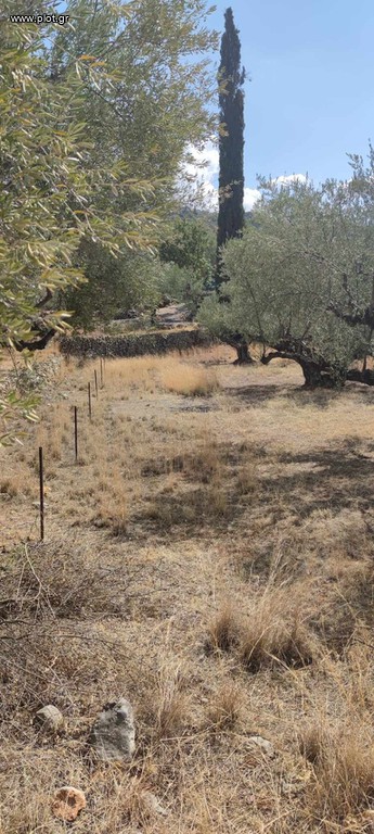 Οικόπεδο 2.422 τ.μ. για πώληση, Μεσσηνία, Αρφαρά