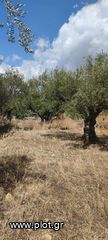 Οικόπεδο 2.422 τ.μ. για πώληση, Μεσσηνία, Αρφαρά-thumb-1