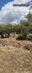Οικόπεδο 2.422 τ.μ. για πώληση, Μεσσηνία, Αρφαρά-thumb-4