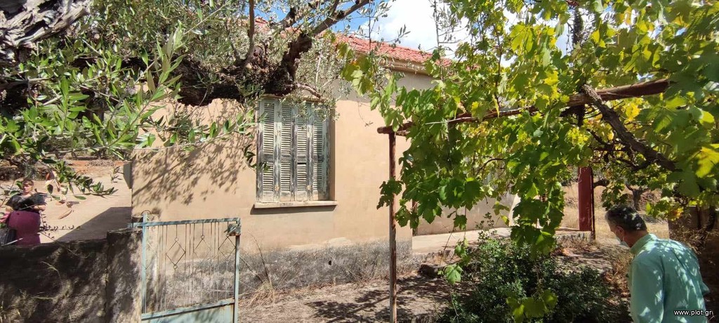 Οικόπεδο 1.304 τ.μ. για πώληση, Μεσσηνία, Αρφαρά