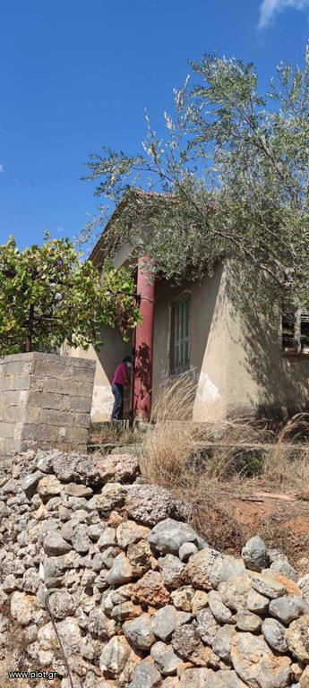 Οικόπεδο 1.304 τ.μ. προς πώληση, Κέντρο Αρφαρών