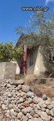 Οικόπεδο 1.304 τ.μ. για πώληση, Μεσσηνία, Αρφαρά-thumb-1