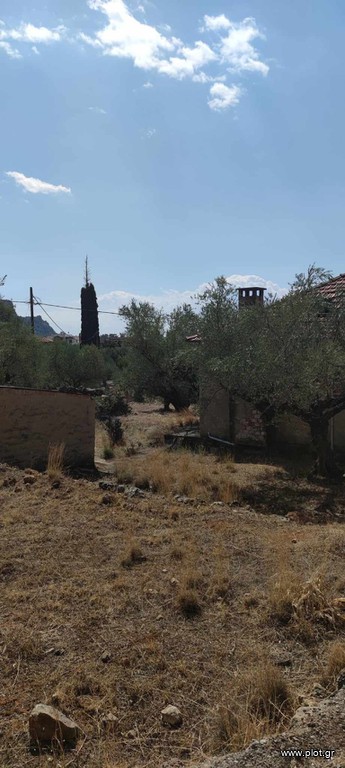 Οικόπεδο 1.304 τ.μ. προς πώληση, Κέντρο Αρφαρών