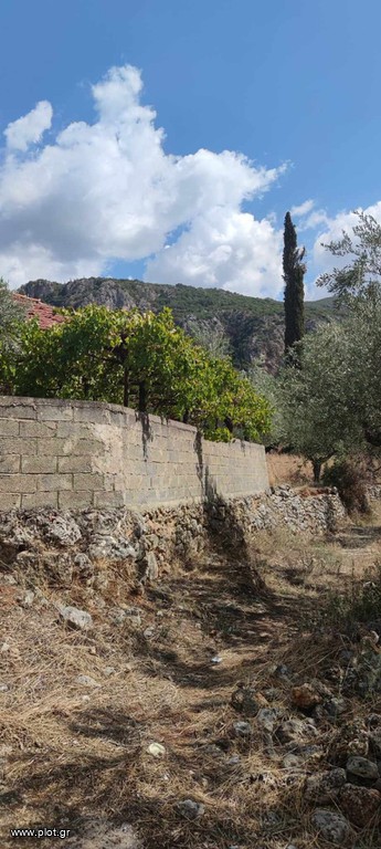 Οικόπεδο 1.304 τ.μ. προς πώληση, Κέντρο Αρφαρών