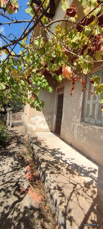 Οικόπεδο 1.304 τ.μ. προς πώληση, Κέντρο Αρφαρών