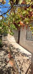 Οικόπεδο 1.304 τ.μ. για πώληση, Μεσσηνία, Αρφαρά-thumb-4
