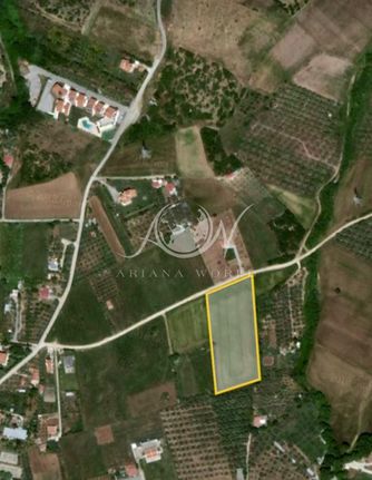 Αγροτεμάχια 10.000 τ.μ. για πώληση, Εβρος, Αλεξανδρούπολη