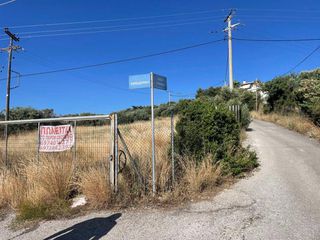 Άλλο 4.620 τ.μ. για ενοικίαση, Αχαΐα, Ρίο-thumb-1