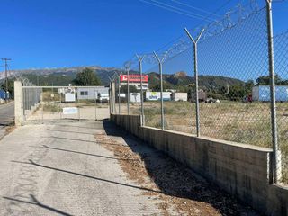 Άλλο 4.620 τ.μ. για ενοικίαση, Αχαΐα, Ρίο-thumb-9