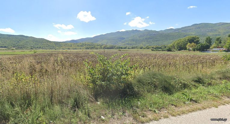 Οικόπεδο 2.900 τ.μ. για πώληση, Ν. Καρδίτσας, Μουζάκι