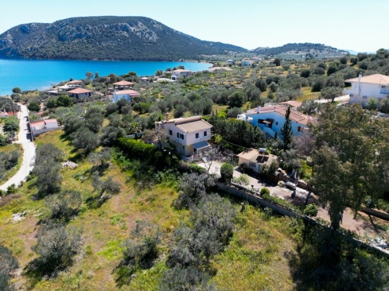 Αγροτεμάχια 4.483 τ.μ. πρός πώληση, Αργολίδα, Ερμιόνη