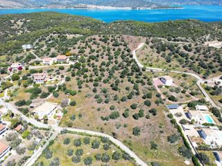 Αγροτεμάχια 4.483 τ.μ. προς πώληση, Κουβέρτα-thumb-2