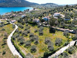 Αγροτεμάχια 4.483 τ.μ. προς πώληση, Κουβέρτα-thumb-8