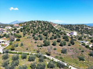 Αγροτεμάχια 4.483 τ.μ. προς πώληση, Κουβέρτα-thumb-5