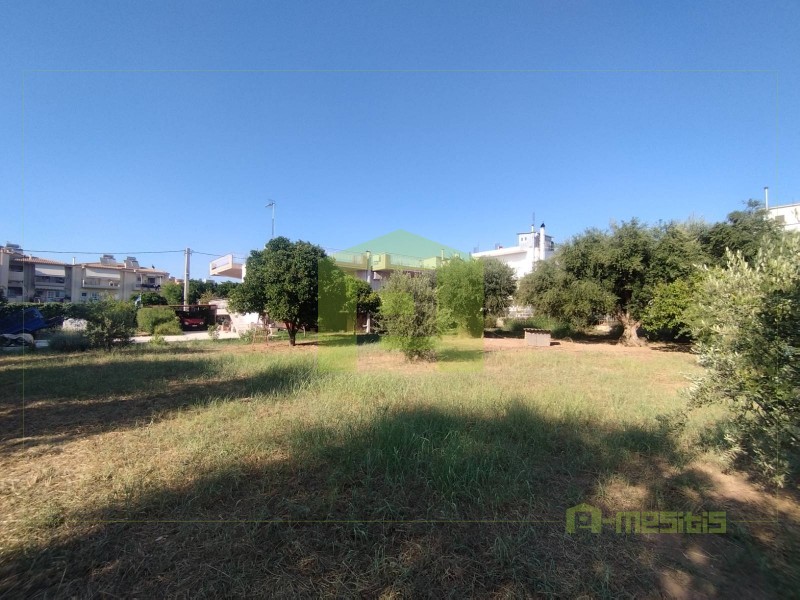 Οικόπεδο 780 τ.μ. προς πώληση, Οβριά