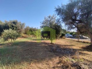 Οικόπεδο 780 τ.μ. προς πώληση, Οβριά-thumb-12