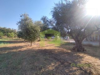 Οικόπεδο 780 τ.μ. προς πώληση, Οβριά-thumb-18