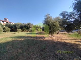 Οικόπεδο 780 τ.μ. προς πώληση, Οβριά-thumb-17