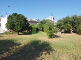Οικόπεδο 780 τ.μ. προς πώληση, Οβριά-thumb-3