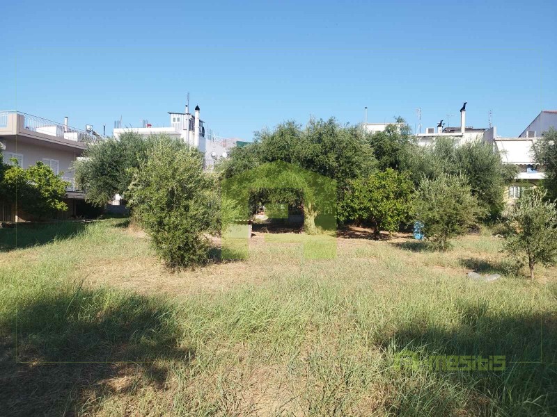 Οικόπεδο 780 τ.μ. προς πώληση, Οβριά