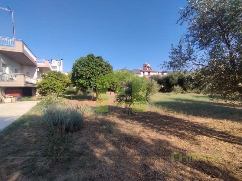 Οικόπεδο 780 τ.μ. προς πώληση, Οβριά