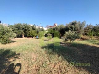 Οικόπεδο 780 τ.μ. προς πώληση, Οβριά-thumb-10
