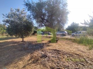 Οικόπεδο 780 τ.μ. προς πώληση, Οβριά-thumb-13