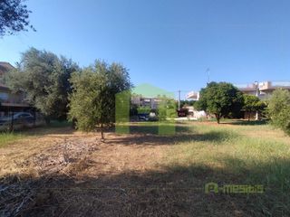 Οικόπεδο 780 τ.μ. προς πώληση, Οβριά-thumb-6