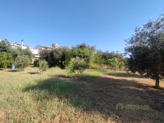 Οικόπεδο 780 τ.μ. προς πώληση, Οβριά-thumb-11