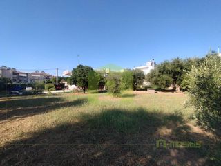 Οικόπεδο 780 τ.μ. προς πώληση, Οβριά-thumb-7