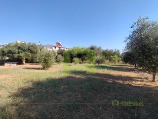 Οικόπεδο 780 τ.μ. προς πώληση, Οβριά-thumb-15