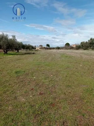 Parcel 5.500 sqm for sale, Achaia, Fares