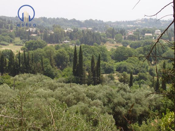 Land plot 6.000 sqm for sale, Corfu Prefecture, Corfu