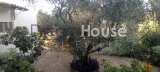 Διαμέρισμα 30 τ.μ. για ενοικίαση, Αχαΐα, Ρίο-thumb-16