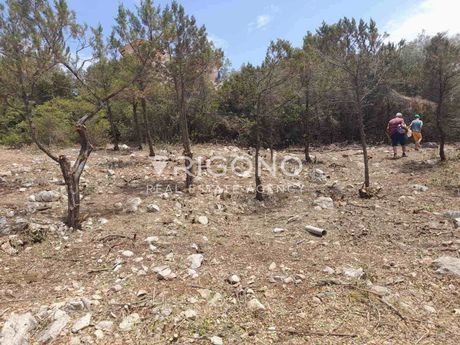 Land plot 1.100sqm for sale-ΜAlesinis