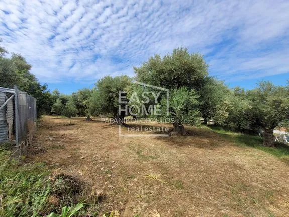 Land plot 641 sqm for sale, Messinia, Thouria