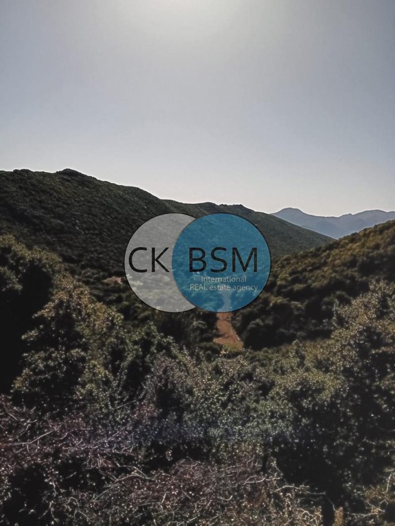 Αγροτεμάχια 12.650 τ.μ. προς πώληση, Βλαχορράπτης