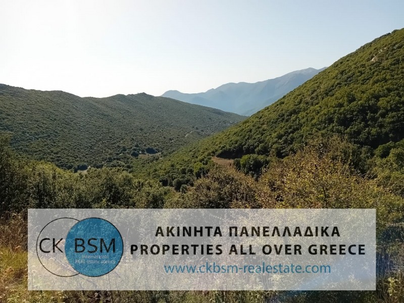 Αγροτεμάχια 12.650 τ.μ. προς πώληση, Βλαχορράπτης