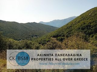 Οικόπεδο 11.436 τ.μ. για πώληση