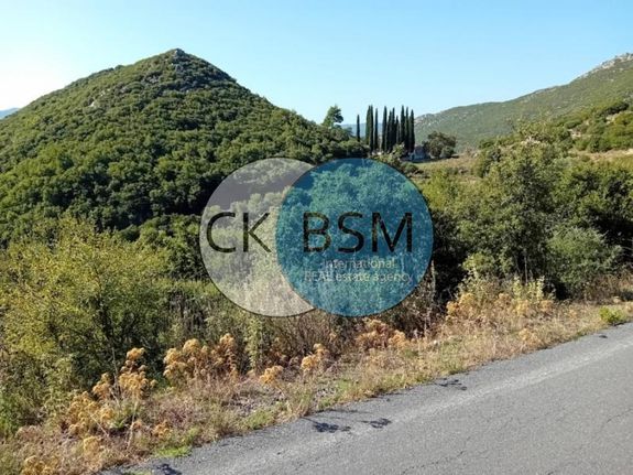 Οικόπεδο 11.436 τ.μ. για πώληση, Αρκαδία, Γορτυνία