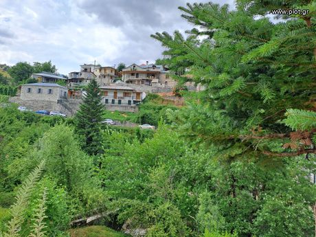 Detached home 55sqm for sale-Metsovo » Anilio