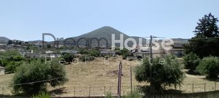 Διαμέρισμα 88 τ.μ. για πώληση, Αχαΐα, Μεσσατίδα-thumb-13