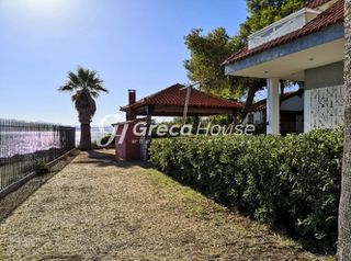 Βίλλα 300 τ.μ. για πώληση, Εύβοια, Ανθηδώνος-thumb-15